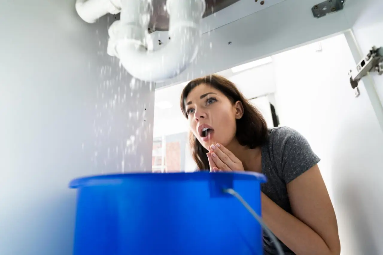 Home Leak